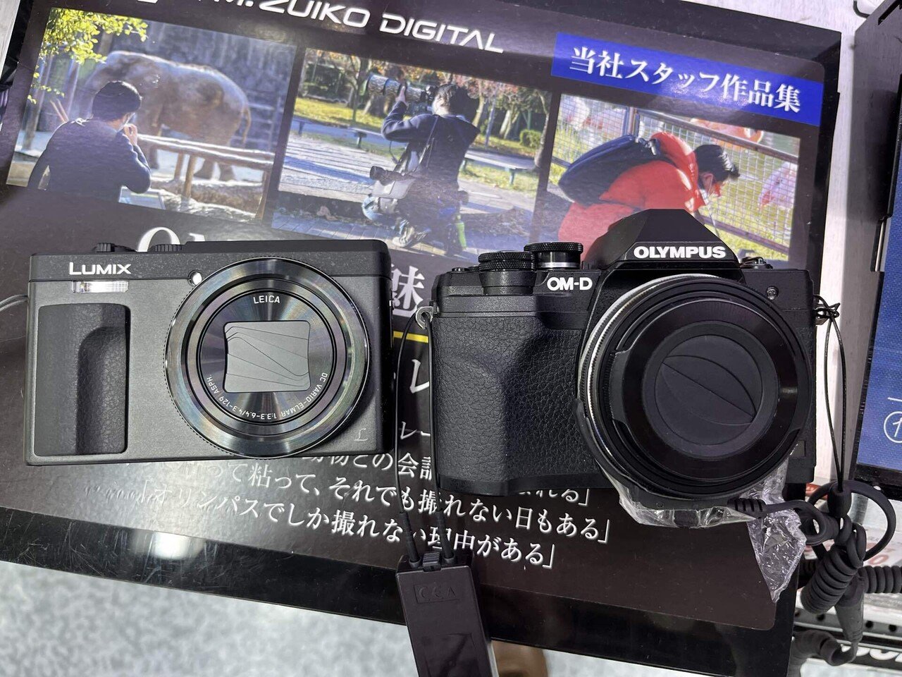 LUMIX G100DとOM-D E-M10 MkⅣを見に行く｜SuzukenSambar