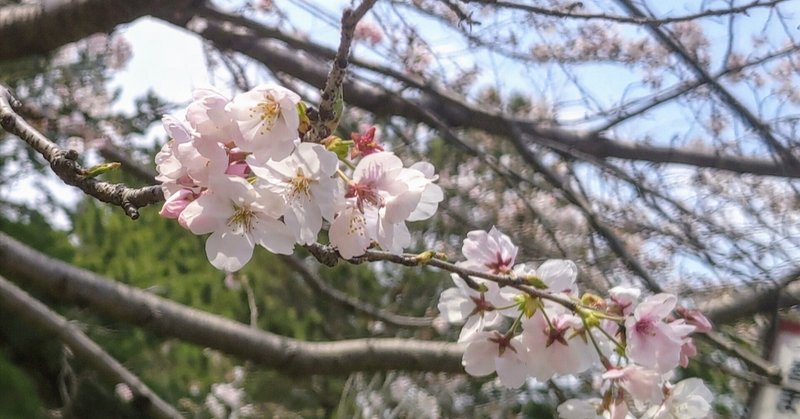 豊橋公園