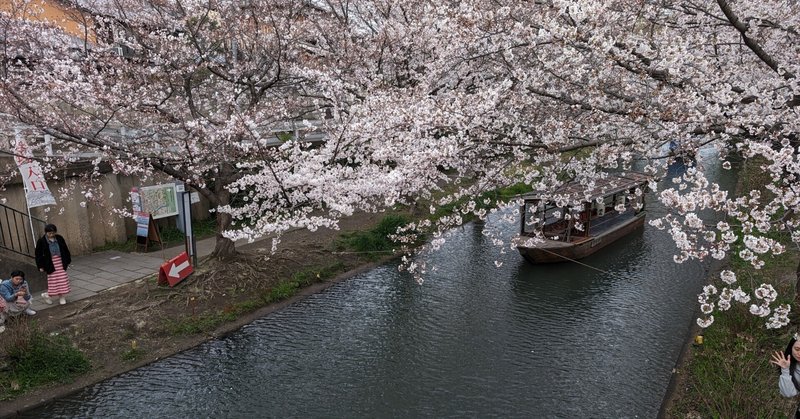 【京都】酒と桜と十石船、の話