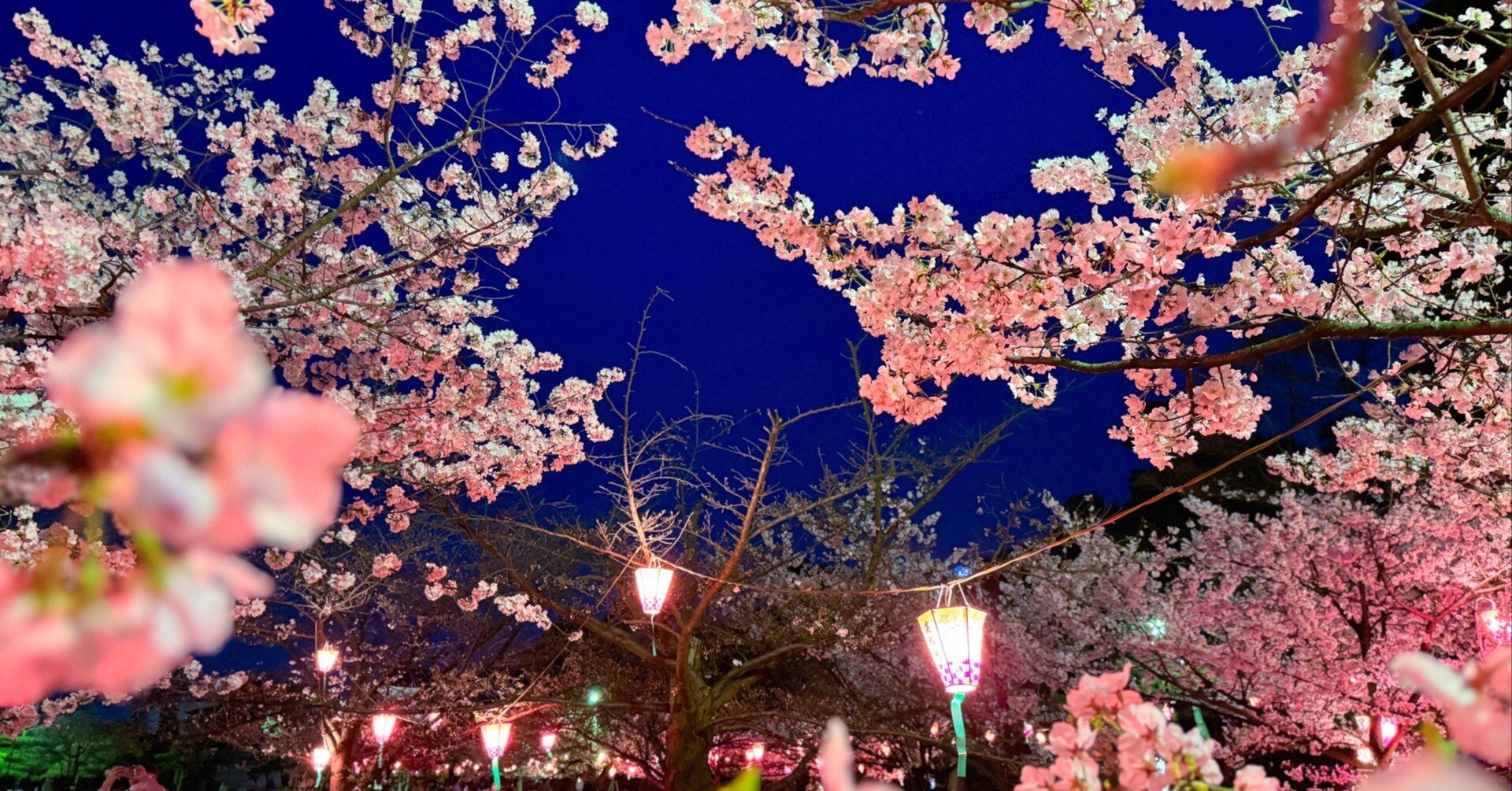 4250b84f3990643d2767f965c8fdc2