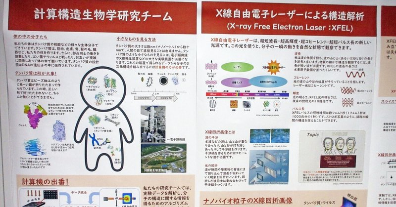 3-2．タンパク質の形を見よう（計算構造生物学研究チーム）：理化学研究所 神戸地区 一般公開2023　R-CCS わくわく「富岳」　その03