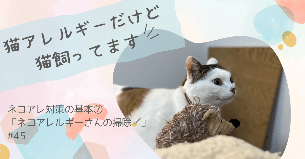 猫アレルギー氏 siberian-cat-1_ebf00069-482a-