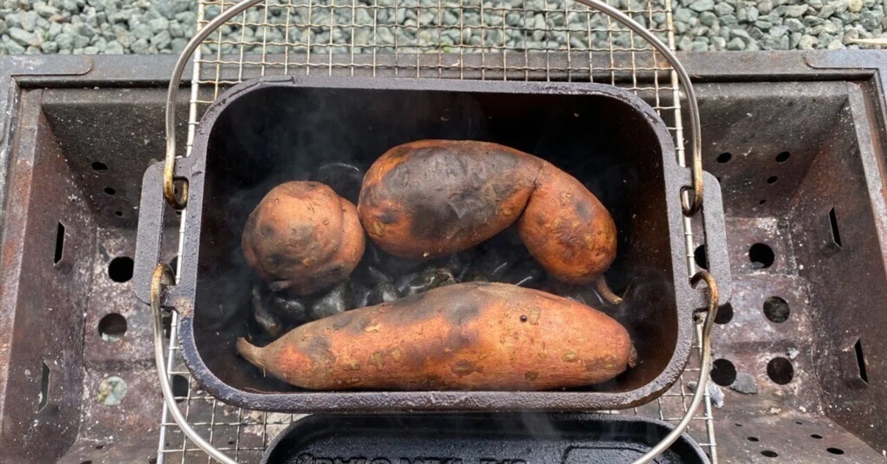 Stone-Roasted Sweet Potato♪ Will the Syrup Come Out?｜あぐりげんき | 農業& writer