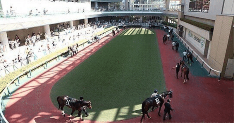 明日から中央競馬🐴福島競馬が開幕🎊重賞レース開催無くても、昨年の結果から🎯連発！？