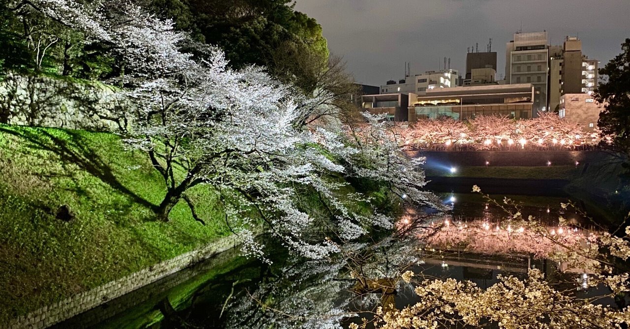 幻想的な千鳥ヶ淵の夜桜（東京都千代田区）｜ほんのひととき