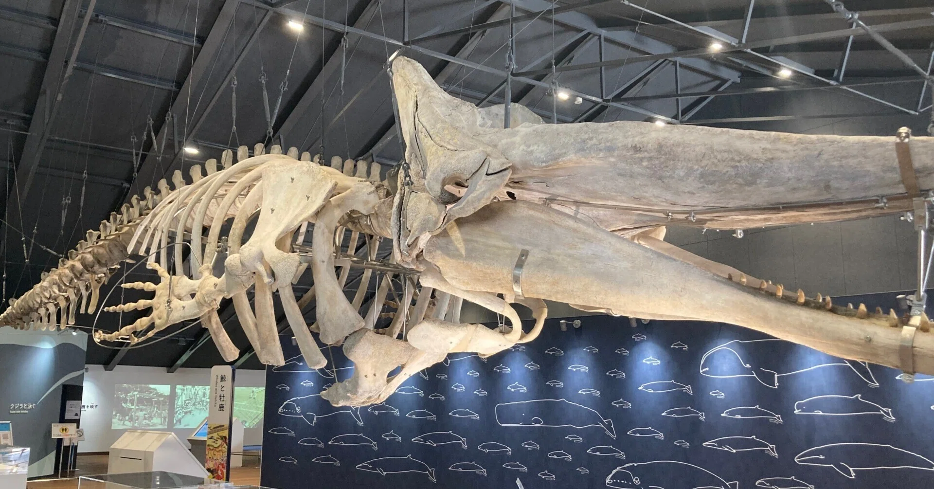 宮城県】石巻で食べつくせ！食と絶景に出会う旅｜Hanako（はなぴき