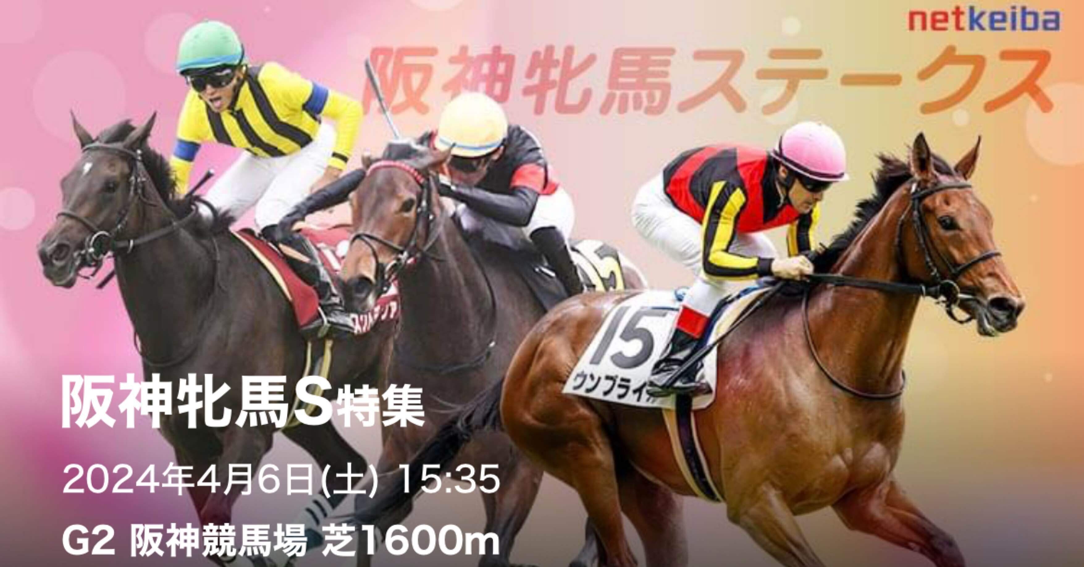 2024年阪神牝馬S 単勝馬券 - その他