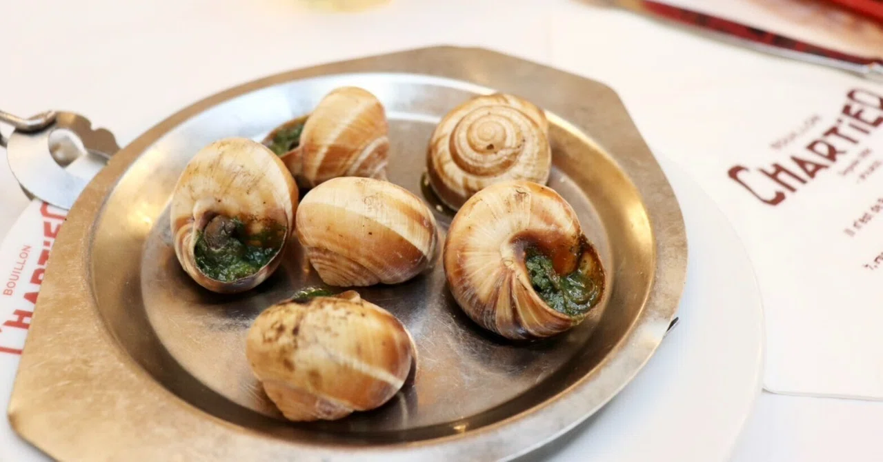 念願のブイヨン・シャルティエへ!!〖Bouillon Chartier Grands