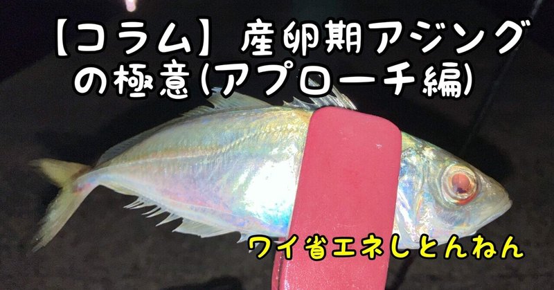 【コラム】産卵期アジングの極意（アプローチ編）