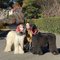 ユカリン