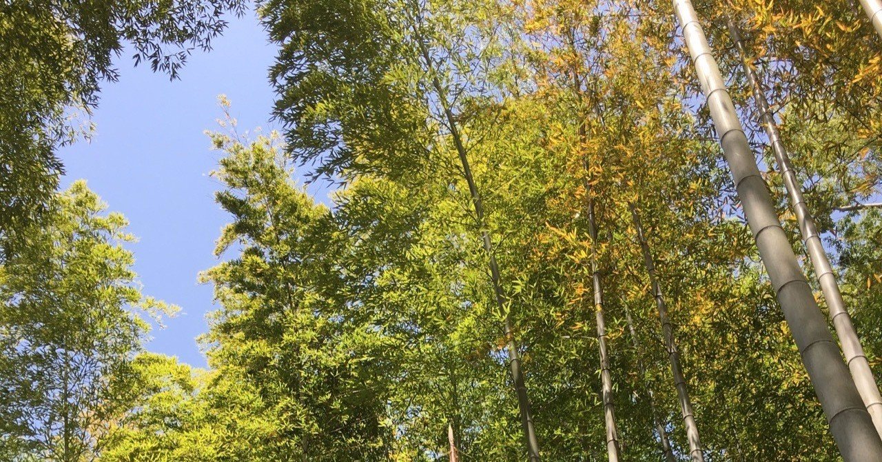 失恋の薬は 涙じゃなくて Sae Note