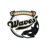 wakayama_waves