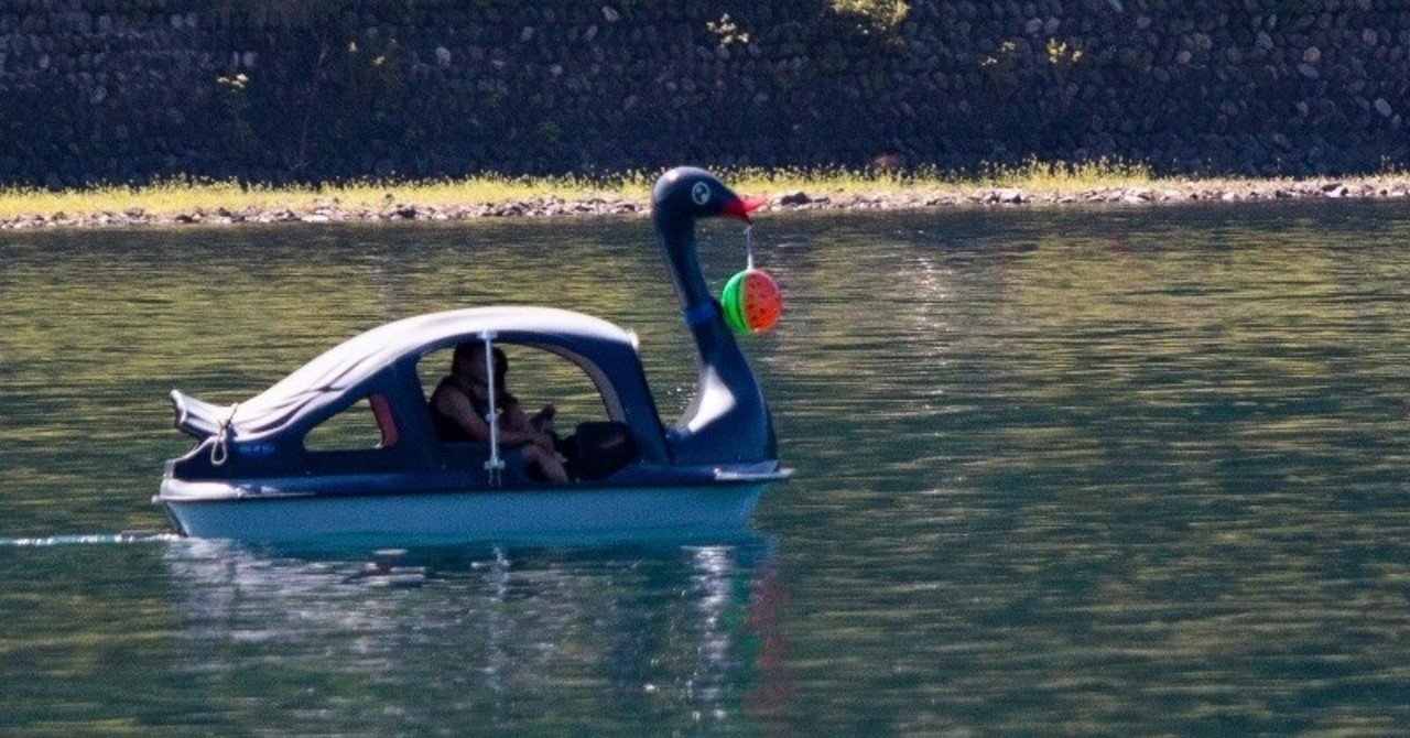 日光中禅寺湖でブラックスワンと上野島が見えました 猫写真家 猫田晃広 Note 日光中禅寺湖でブラックスワンと上野島が見えました 猫写真家 猫田晃広 Note