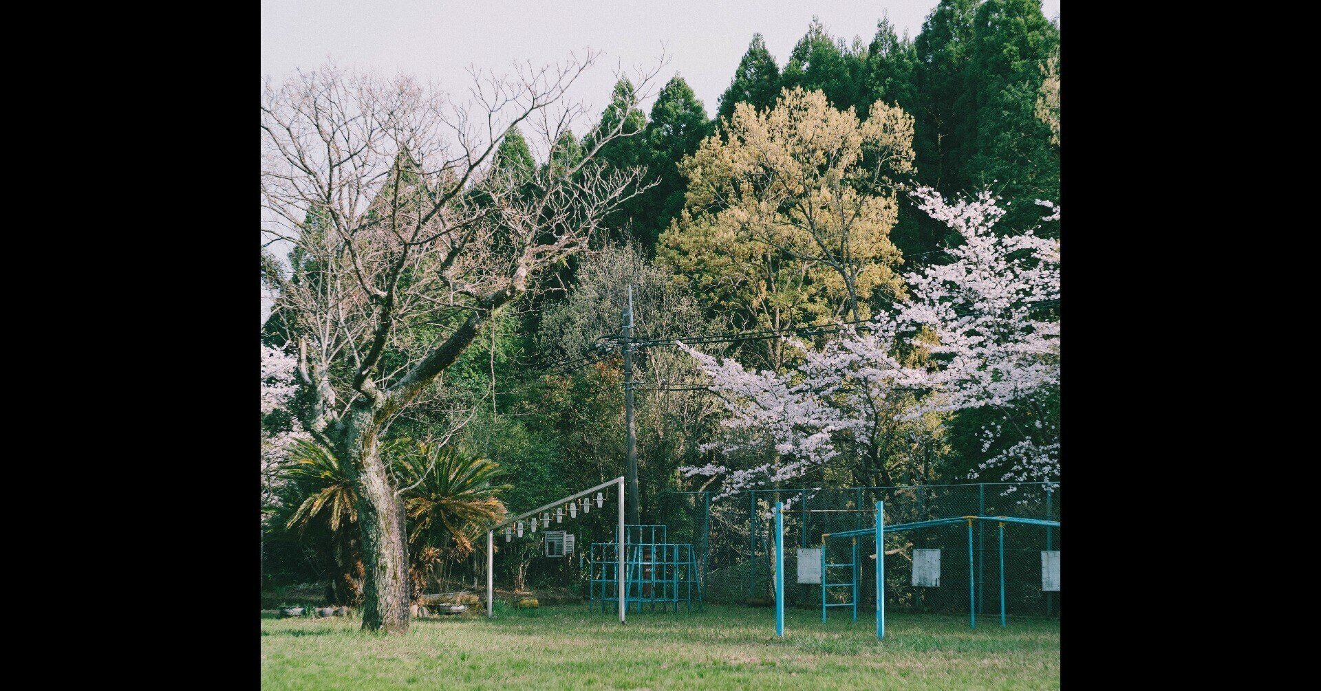 私立 新留小学校設立準備財団(公式)｜note