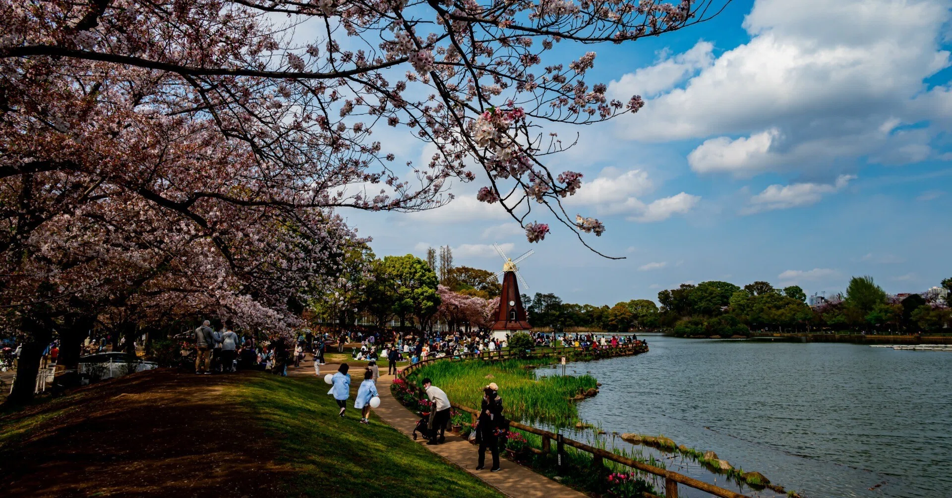都県境の憩い～浮間舟渡・浮間公園のチューリップと桜花｜観光情報総合 