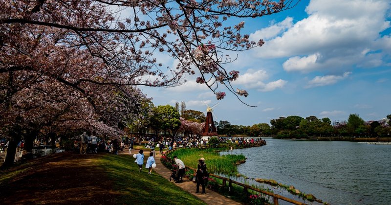 都県境の憩い～浮間舟渡・浮間公園のチューリップと桜花
