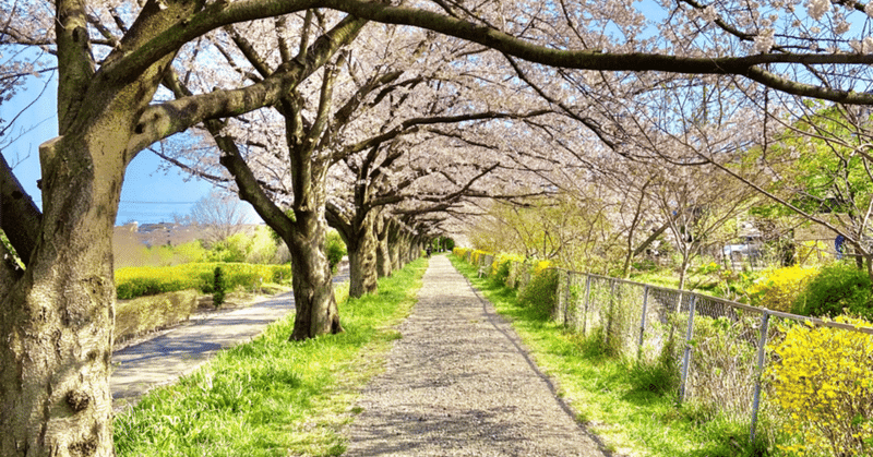 仕事をしやすくする人間関係を、「教わる力」で構築しよう！