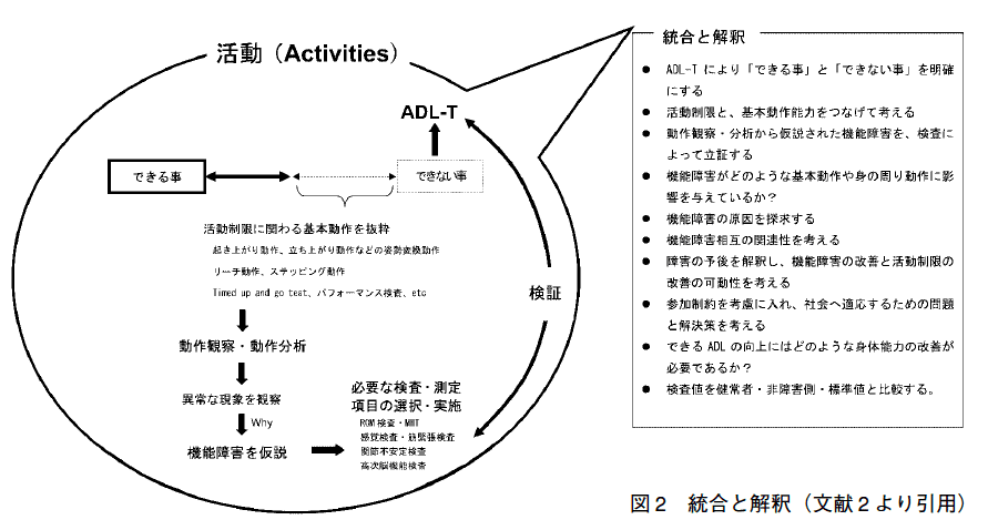 統合と解釈の総論】，イントロとして長めの文章です｜理学療法士