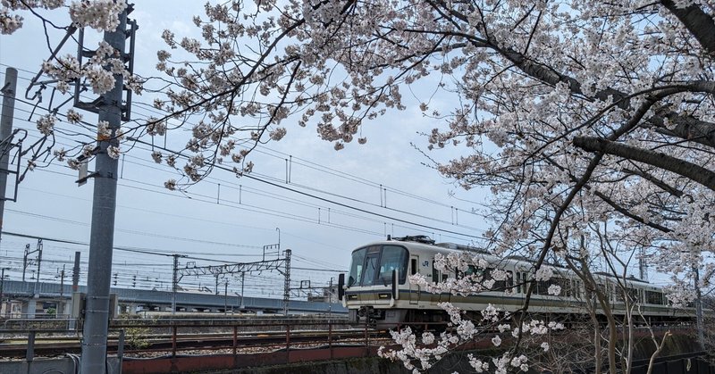 【京都】本日満開、梅小路公園の手づくり市、の話