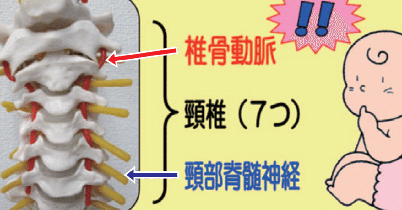 古谷眞寛 | STORES