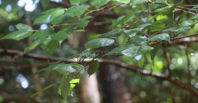 編集による「わかりやすく」の弊害