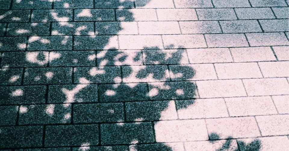 8月の蠍座フォローアップ 今 蠍座は隠密行動をしている しいたけ