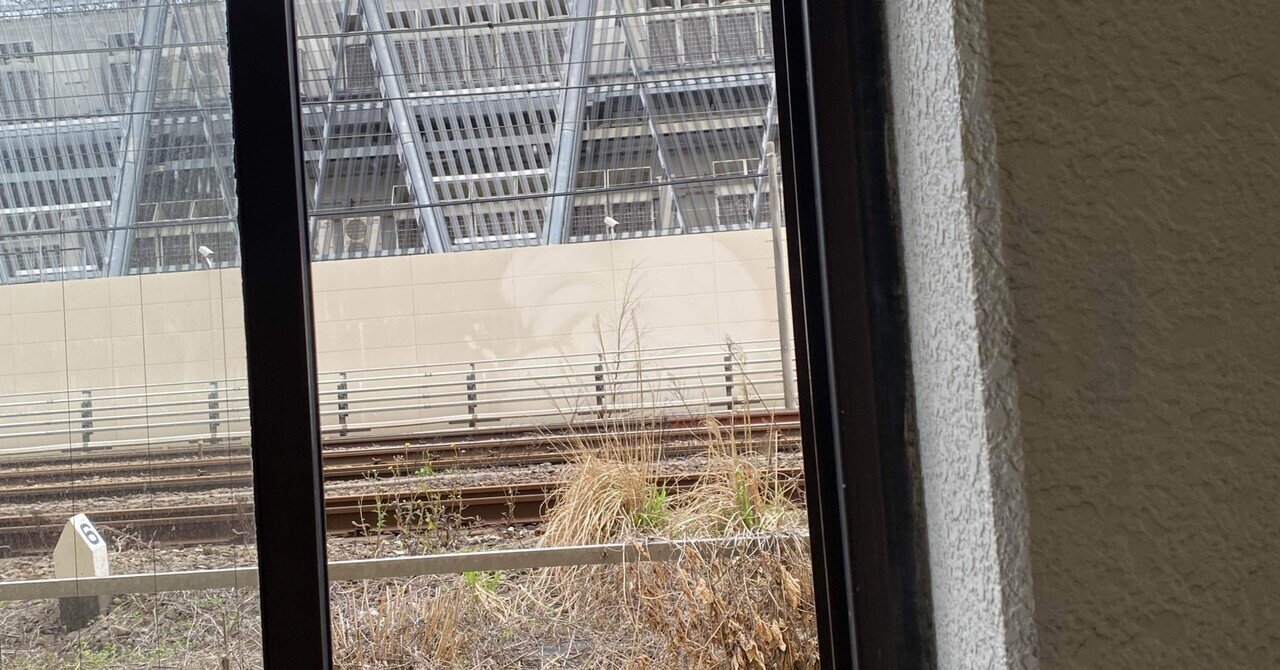 辻海帆チェキ会 4月6日（土） ｜takaoharada