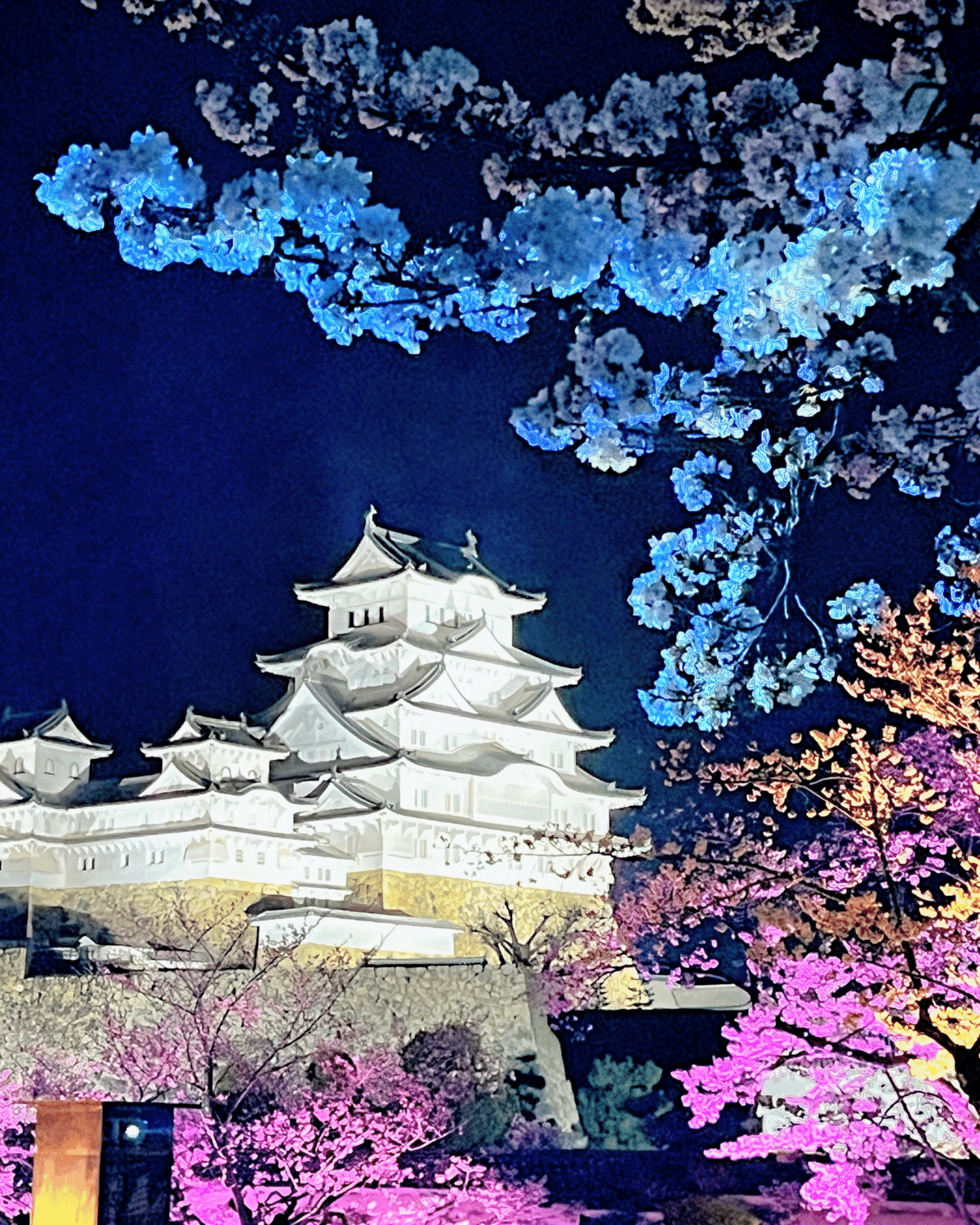 千姫幻想曲輪 姫路城ライトアップ桜｜東熊猫