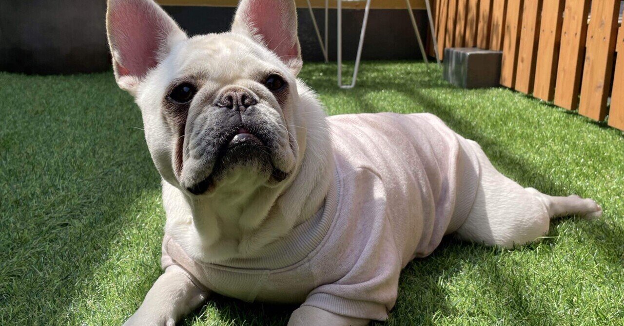 ハンバーガーコーデ①ワンダーフロッグ アゴが外れるような大きさのファーストキッチンのハンバーガー「FK