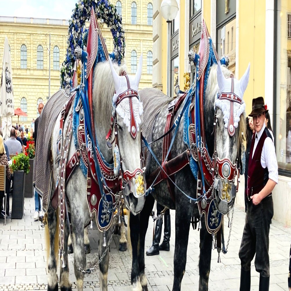 ドイツの馬車｜世界の人に聞いてみた