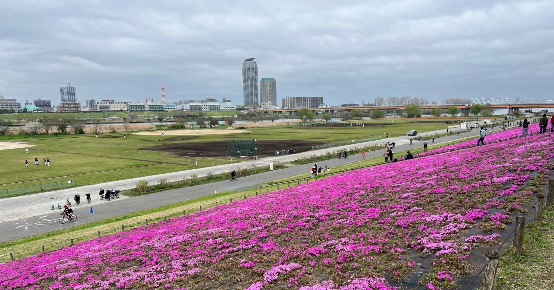東京都北区赤羽さくらマラソンで走ってきた話｜ORBIT_KK（ひろちゃん）