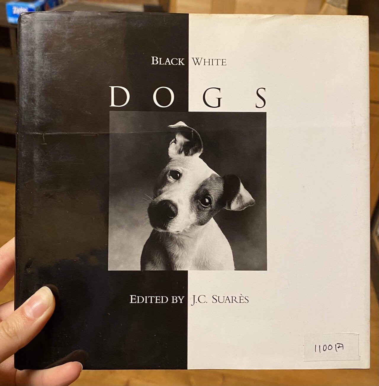 洋書◆犬の写真集 本 Amazon.co.jp: 洋書犬の写真集 本 コンプリートブック : Toys