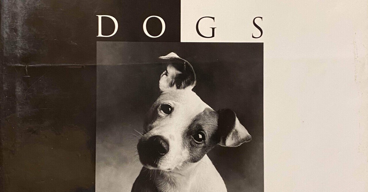 Entre Chien et Loup カレル・フォンティーヌ 写真集 Entre Chien et Loup カレル・フォンティーヌ 写真集