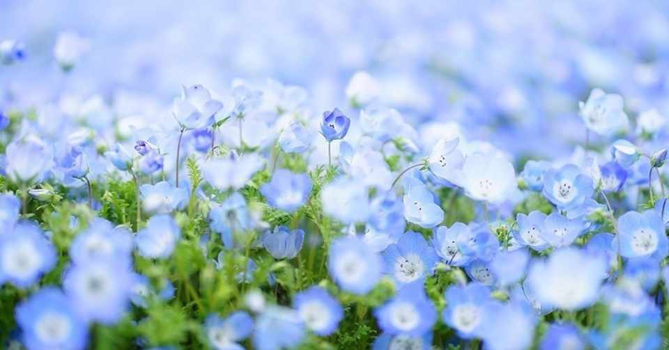 35 高瀬舟 感想 人気のある画像を投稿する 35 高瀬舟 感想 人気のある画像を投稿する