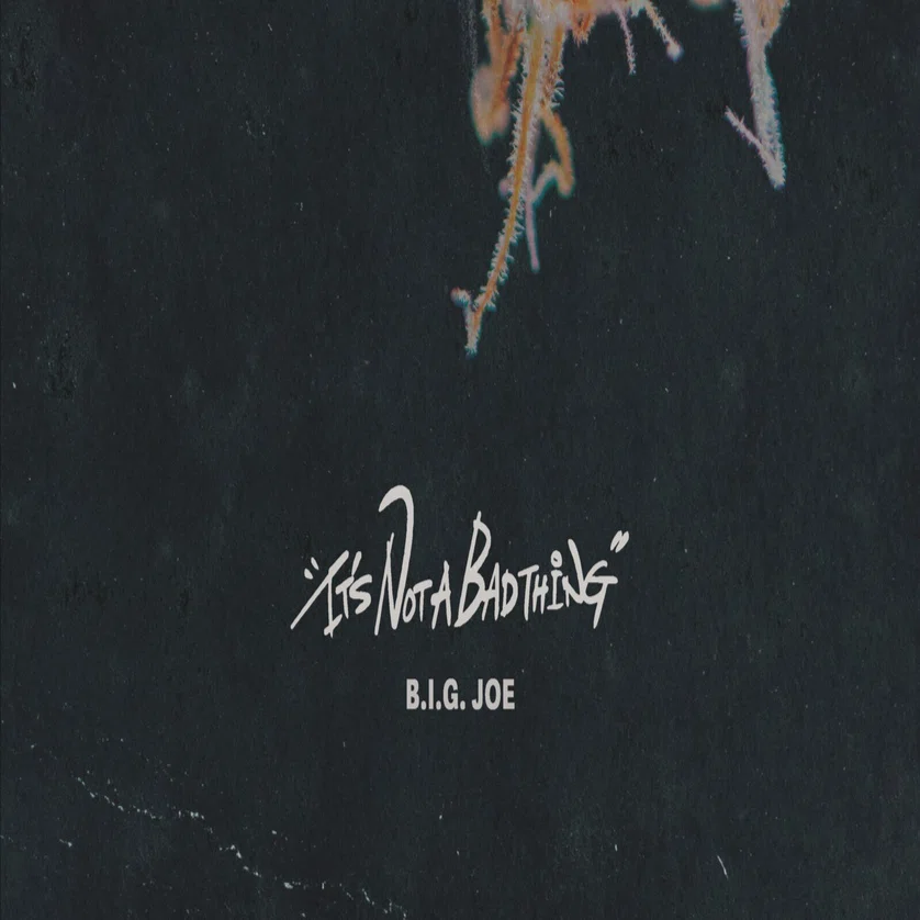 One (feat. 笠原瑠斗) ／ B.I.G. JOE｜shun.