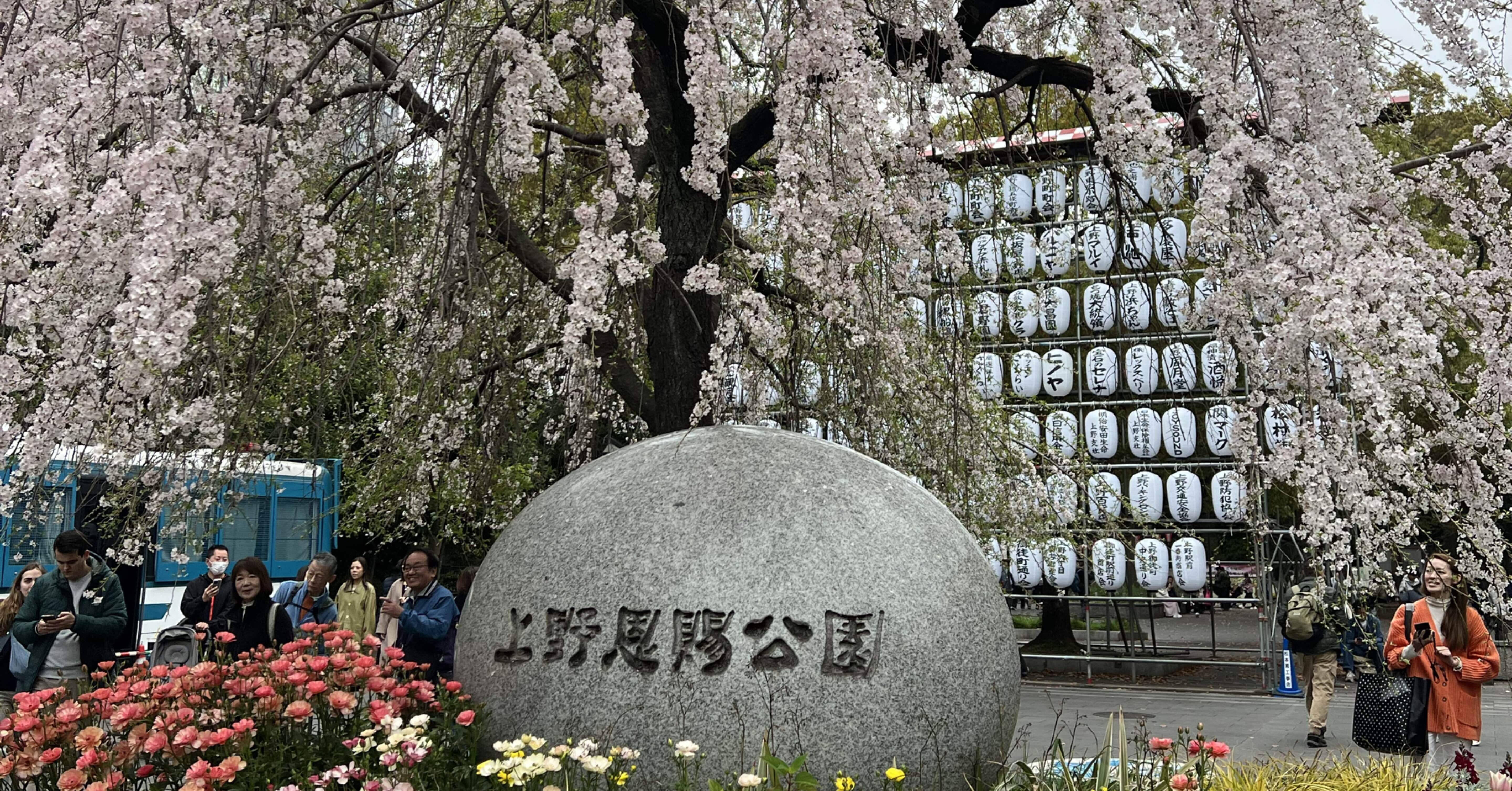 裕*様 再値下げ【年末価格】桜の枝模様の白い訪問着 裕*様 再値下げ【年末価格】桜の枝模様の白い訪問着