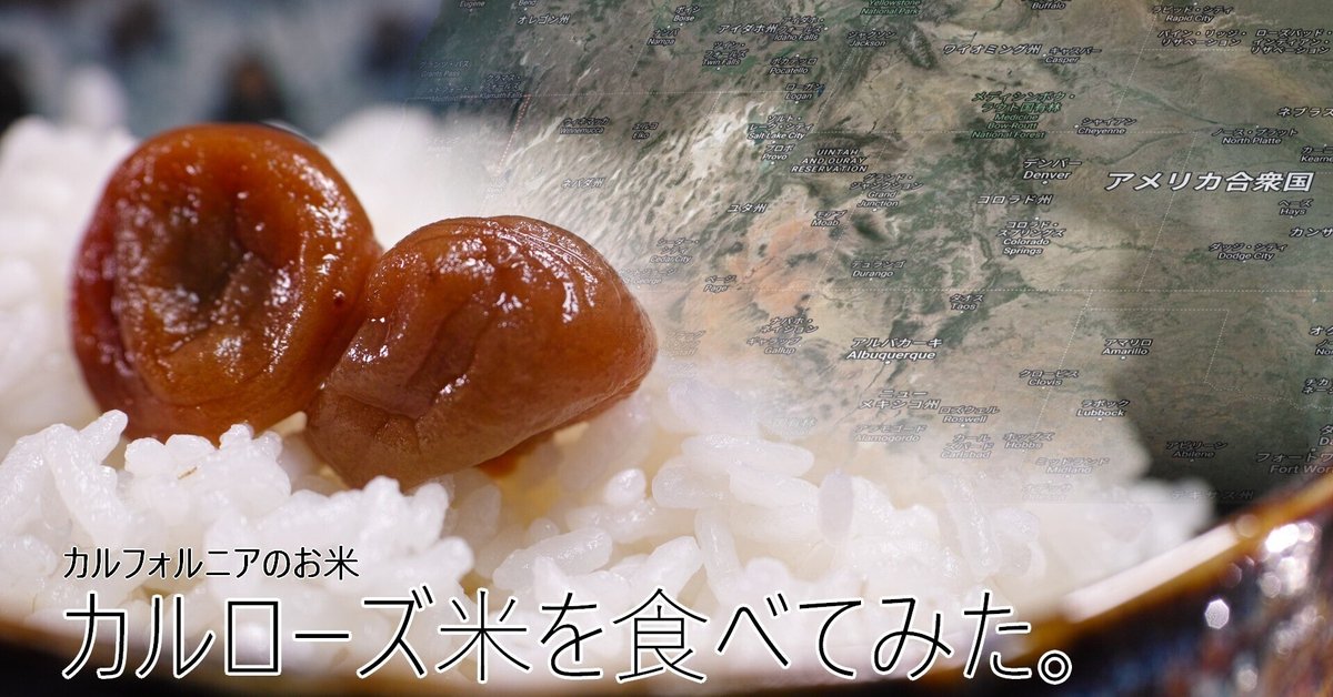 コーヒーアメリカ産カルローズ30kg(10kg×3袋) コーヒー様専用アメリカ産カルローズ30kg(10kg×3袋)