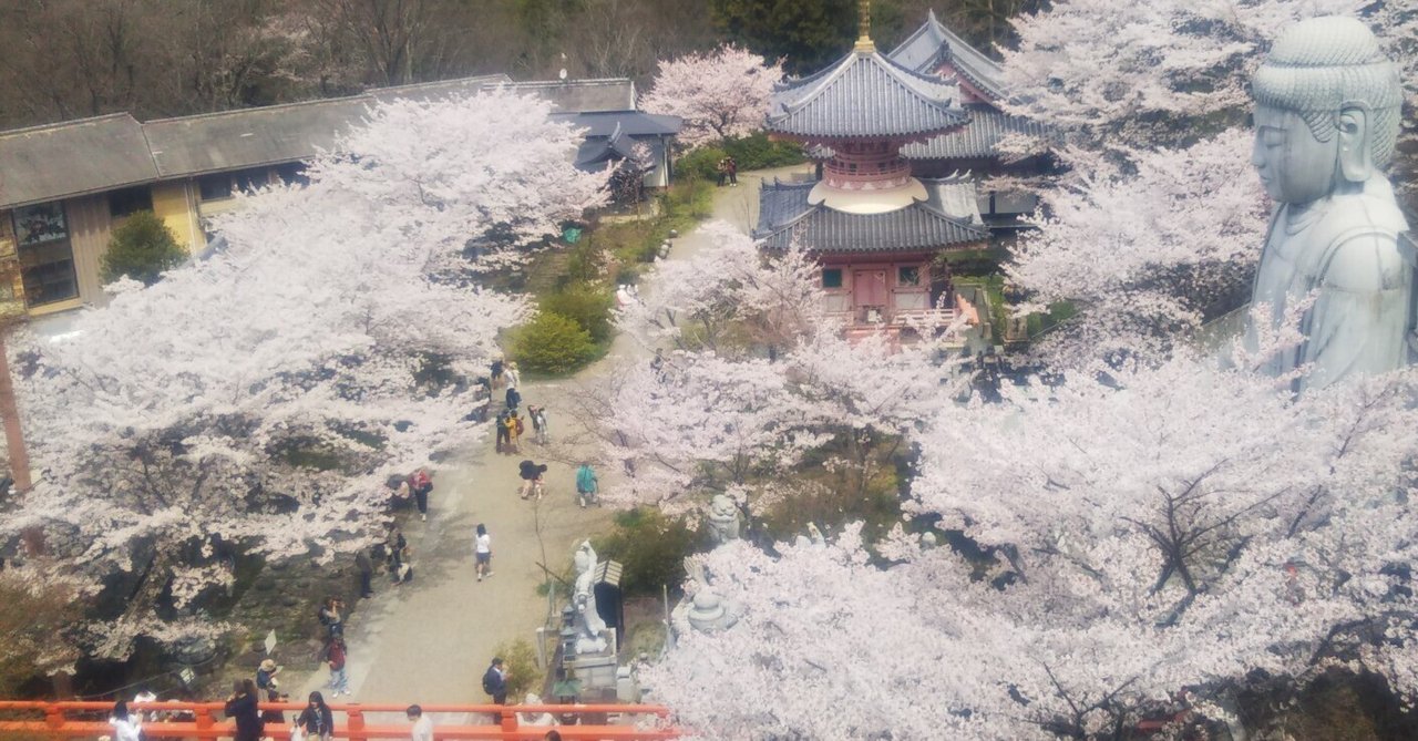 仏像ワンダーランド「壷阪寺（南法華寺）」京都・清水寺の対