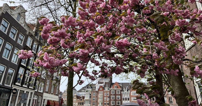 オランダの春