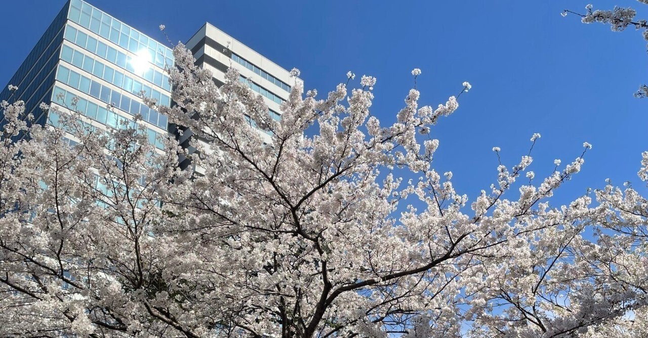 rectangle_large_type_2_13f1686