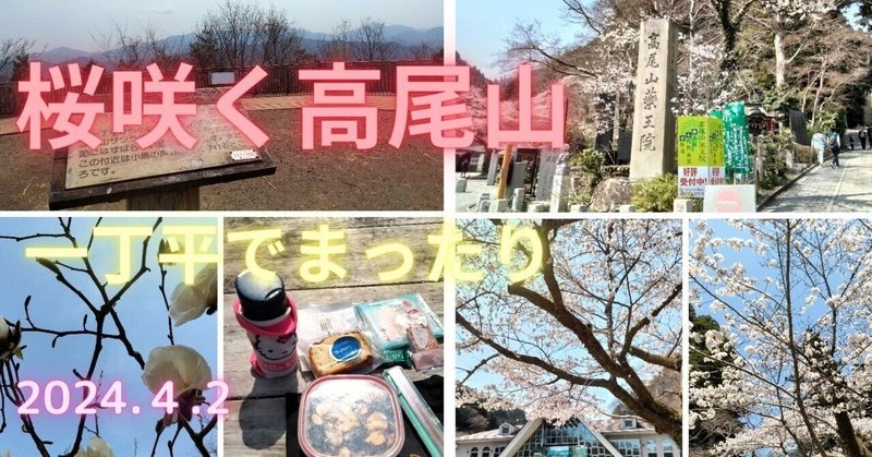 【山】桜咲く春の高尾山～静かで好きな一丁平でまったり