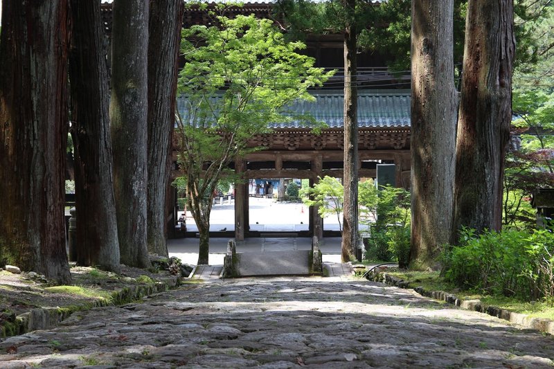 ニーチェは言った 神は死んだ なら 誰が神を殺したんだよ Hayato Matsui Note ニーチェは言った 神は死んだ なら 誰が神を殺したんだよ Hayato Matsui Note