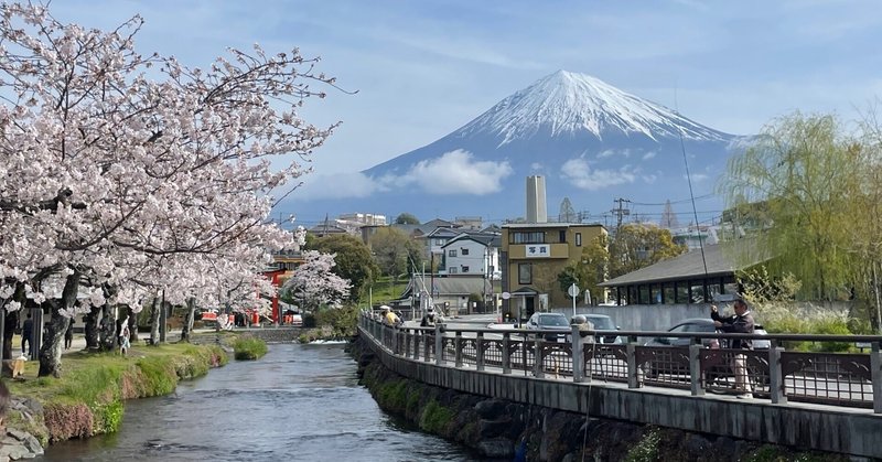 毎年増えていくお気に入り桜スポット🌸今年の桜も最高でした！！