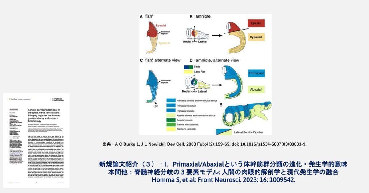 新生理科学大系 8 神経生理学論 新生理科学大系 8 神経生理学論 新生理科学大系 8 神経