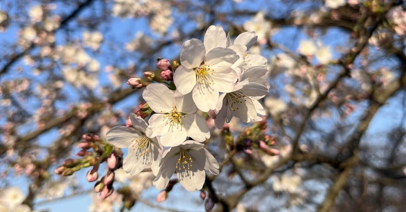 そわそわどきどきの新年度スタートを前に