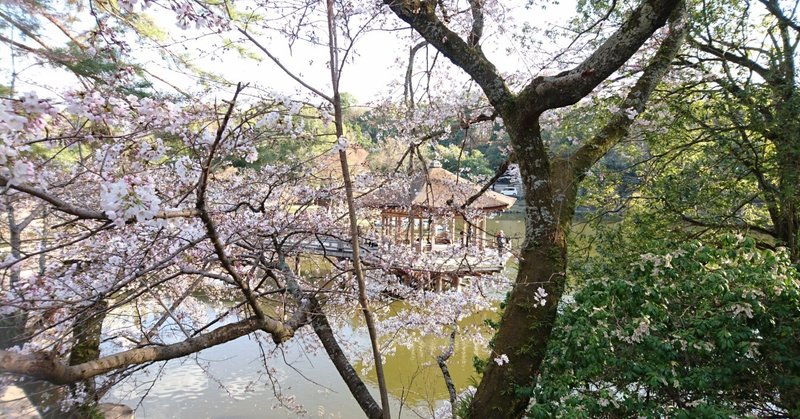 【写真】奈良公園の春