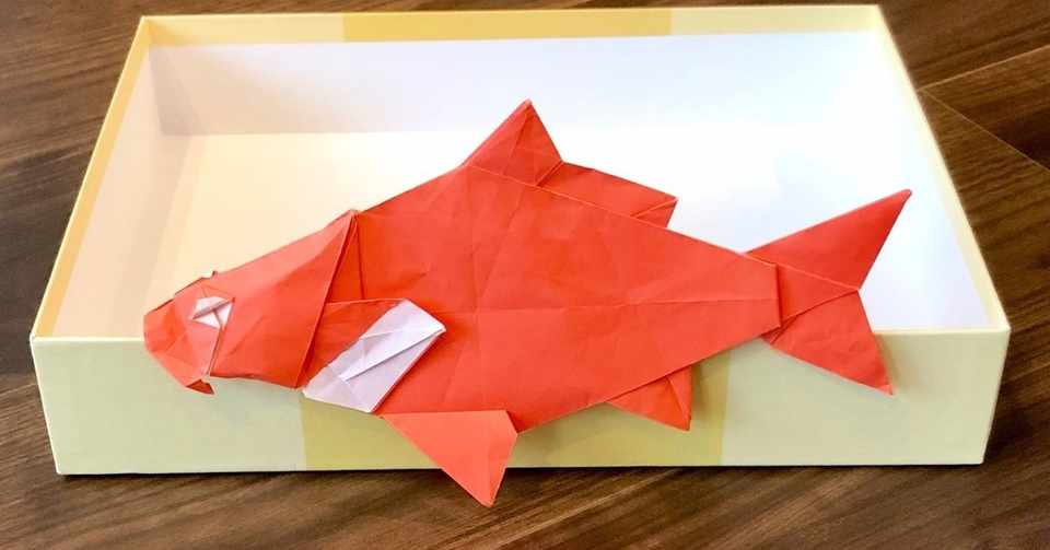 展開図からのスパルタ講習 机さんの 鯉 は想像以上にコイ時間だった まさにぃ Note