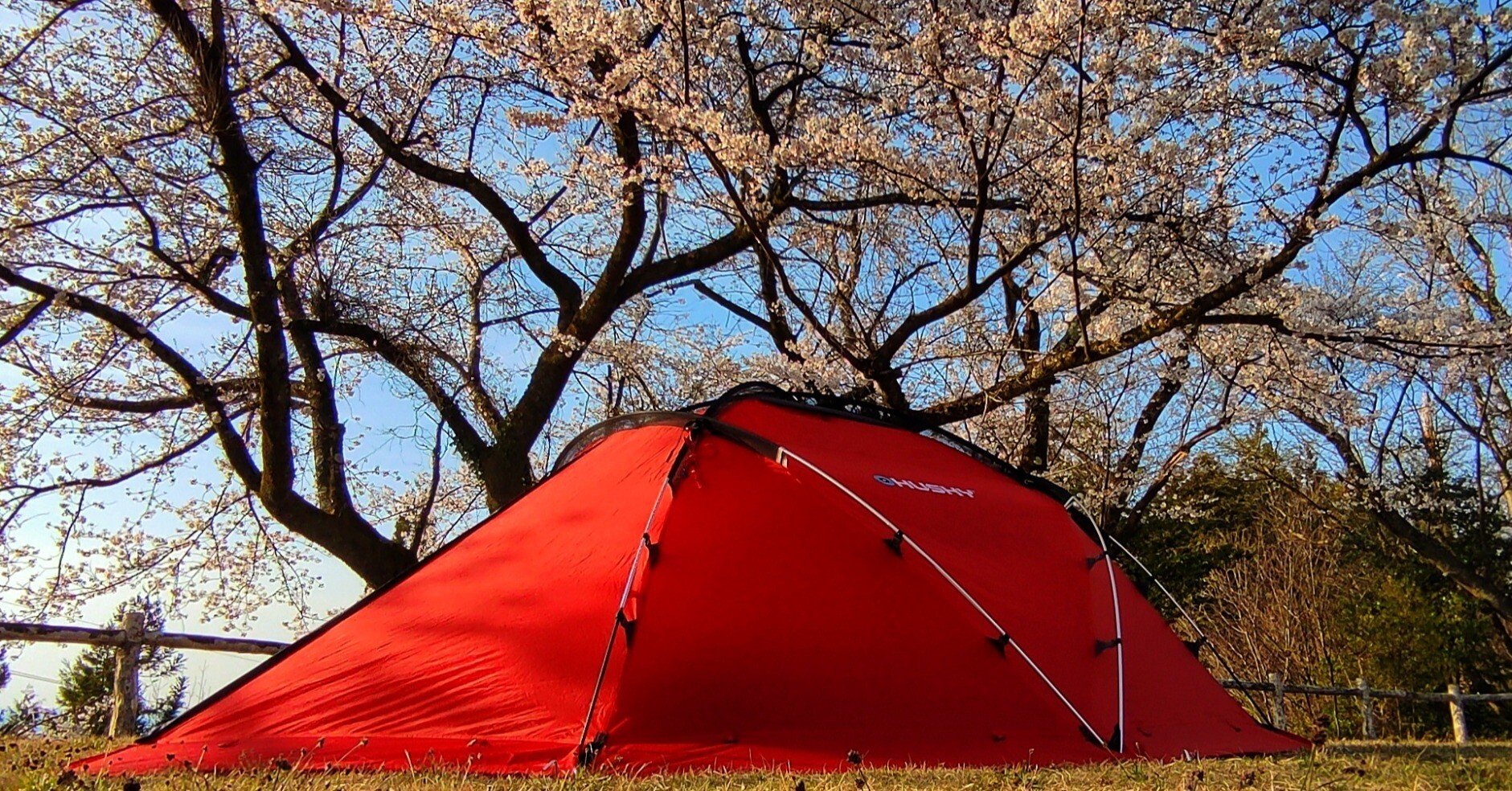 2bca1b23acdd8ef13efe8e38baea21