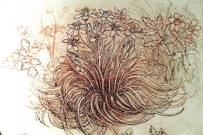 レオナルド ダ ヴィンチがミラノに残したタネ ヴェルデ 歴史 美術ライター Note レオナルド ダ ヴィンチがミラノに残したタネ ヴェルデ 歴史 美術ライター Note