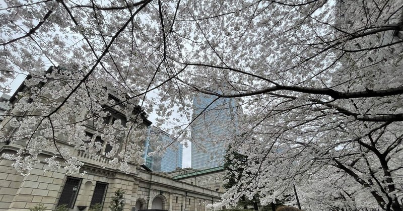 とことこおさんぽ【東京の桜編🌸】